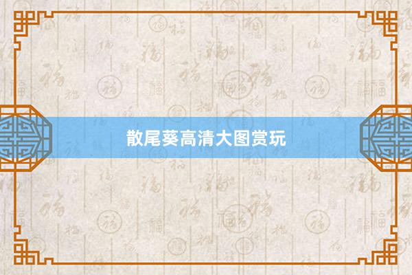 散尾葵高清大图赏玩