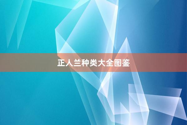 正人兰种类大全图鉴